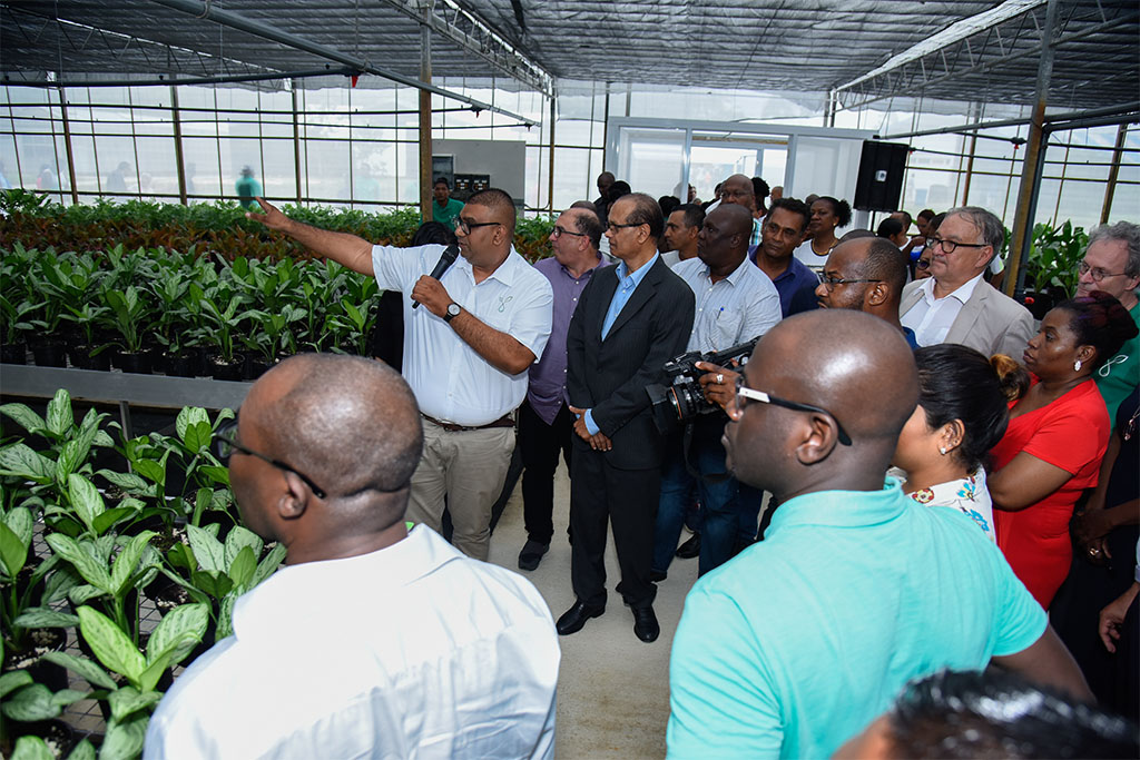 oofd van de Greenhouses, Nitesh Ramlakhan, informeert de gasten over ondermeer de vermeerdering van exportplanten in de grote plantenkas. De 3200 vierkante meter grote kas is dezelfde dag in gebruik genomen.-.