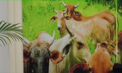 Embedded thumbnail for Bijeenkomst gehouden m.b.t. export fruit en cassave STVS JOURNAAL 4 dec 2022
